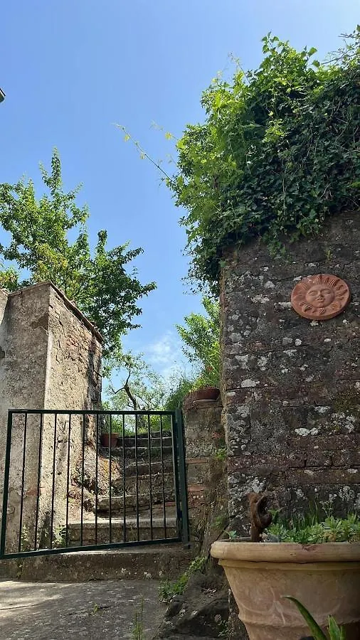 Casina Orione Lägenhet Montecatini Val di Cecina