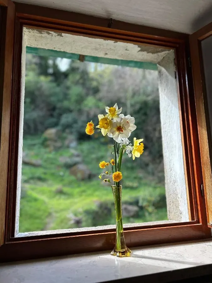 Casina Orione Apartment Montecatini Val di Cecina